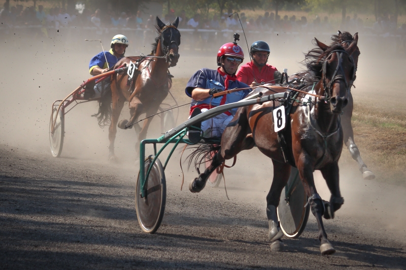 Horse racing - Srbobran 2017